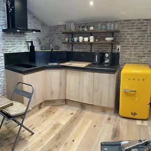 Strandlopertje Zandvoort